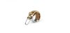 KNOG zvonek Oi Luxe small Brass