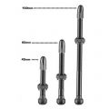 Schwalbe ventilek Tubeless 60 mm sada 2 ks