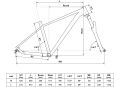 Kellys Mystery 50 29 2024 vel. L