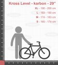 Kross Level 10.0 (29) 2019 vel. L(19)