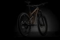 MERIDA ONE-SIXTY 700 Silk Bronze(Black/White) 2024 vel.M