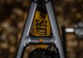 Kellys Soot 50 2020