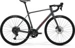 SCULTURA ENDURANCE 300 Silk Cool Grey(Red) 2026