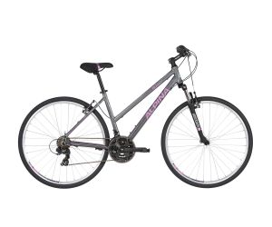 Alpina ECO LC10 Grey 28" 2021
