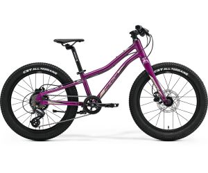 Merida Matts J.20+ Purple(Black/Champagne) 2023