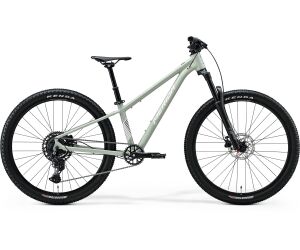 MERIDA MATTS J.CHAMPION Silk Early Moss Grey(White) 2026 
