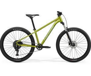 MERIDA BIG.SEVEN 20 Fall Green(Silvergreen) 2026