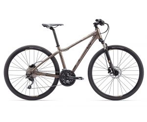 Liv 17 Rove 1 Disc