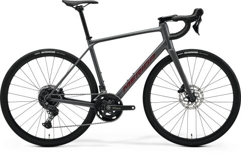 SCULTURA ENDURANCE 300 Silk Cool Grey(Red) 2026