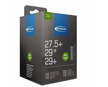 Schwalbe duše 29