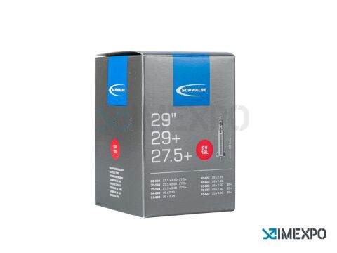 Schwalbe duše 29