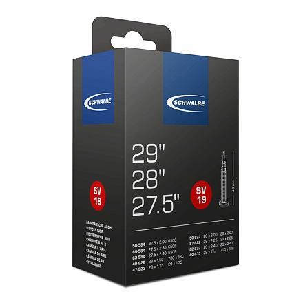Schwalbe duše 29