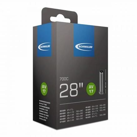 Schwalbe duše 28