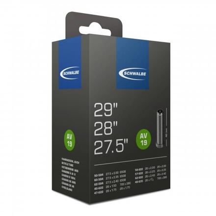 Schwalbe duše 29