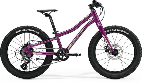 Merida Matts J.20+ Purple(Black/Champagne) 2023