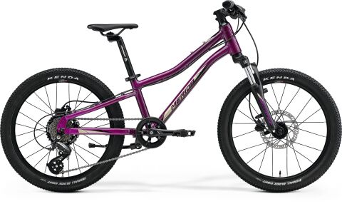 Merida Matts J.20 Purple(Black/Champagne) 2023