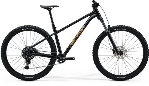 MERIDA BIG.TRAIL 300 Black(Brown) 2026 vel. M
