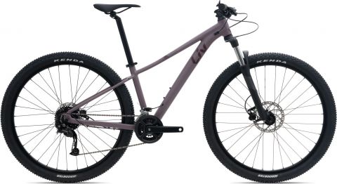 Liv Tempt 3 GE Purple Ash 2023 vel. XS