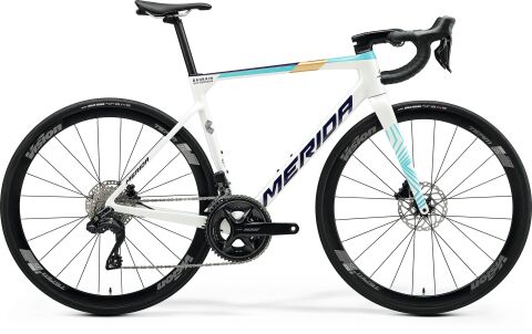 MERIDA SCULTURA 5000 Pearl(Blue-Team)(Cy25) 2025