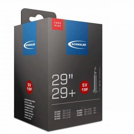 Schwalbe duše 29